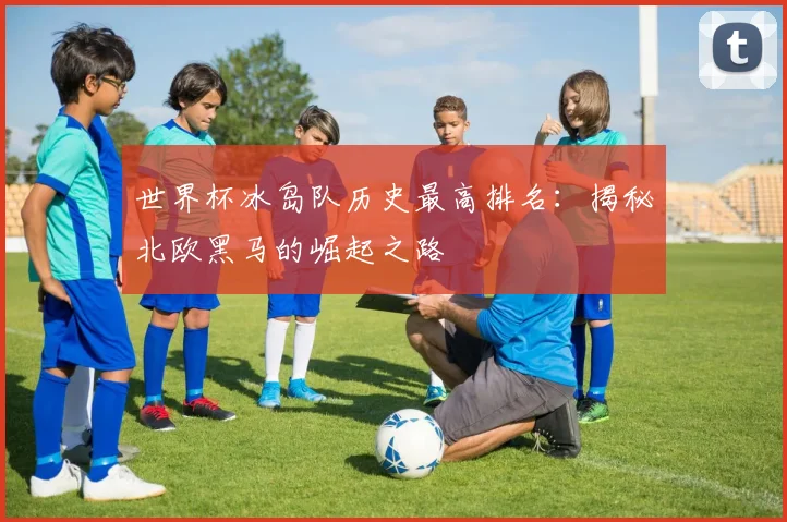 世界杯冰岛队历史最高排名：揭秘北欧黑马的崛起之路