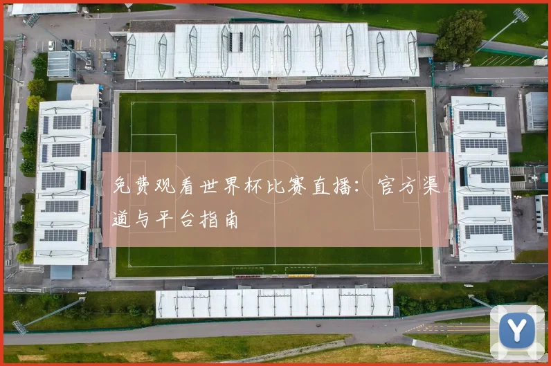 免费观看世界杯比赛直播：官方渠道与平台指南