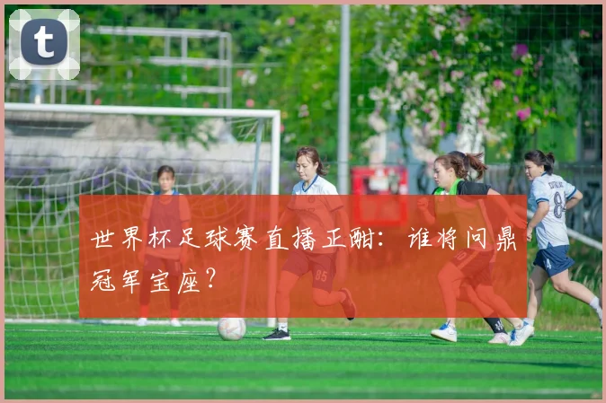 世界杯足球赛直播正酣:谁将问鼎冠军宝座?