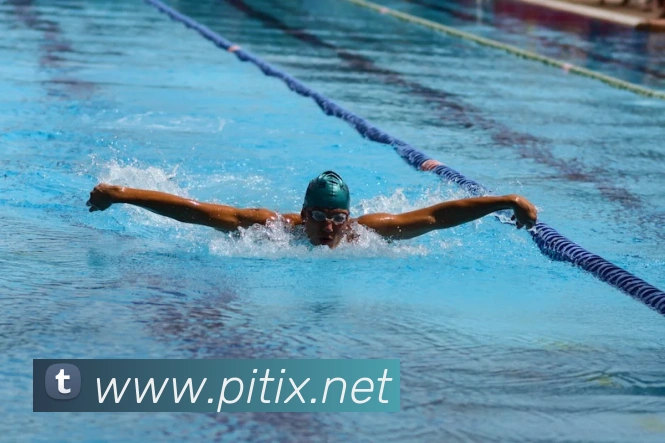 beat365在线唯一官网登录服务体系